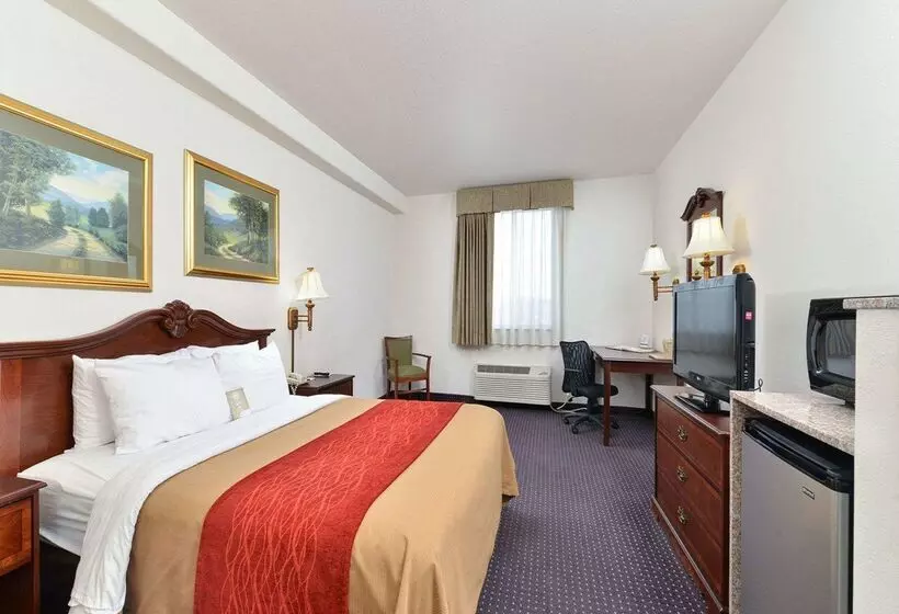 هتل Comfort Inn And Suites