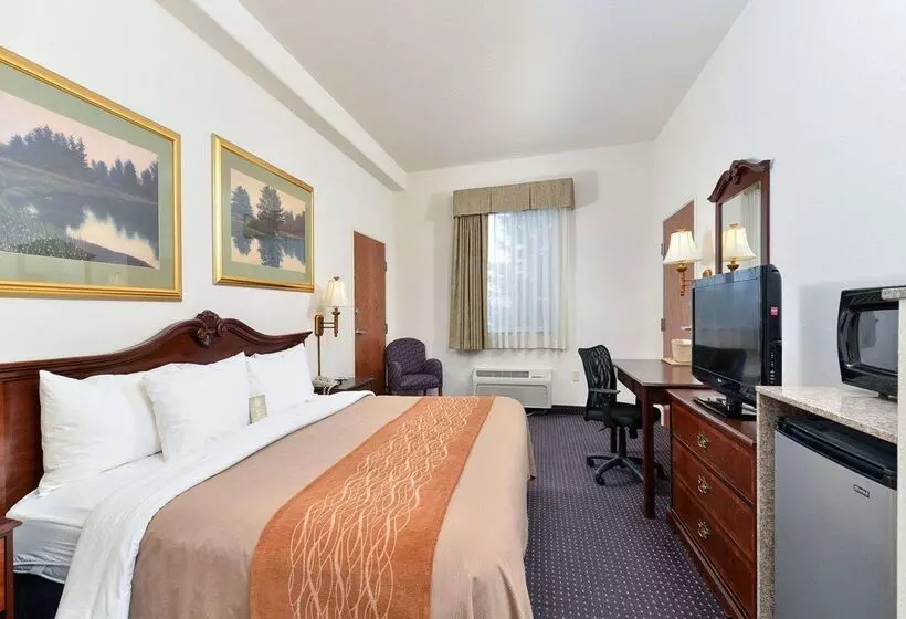هتل Comfort Inn And Suites