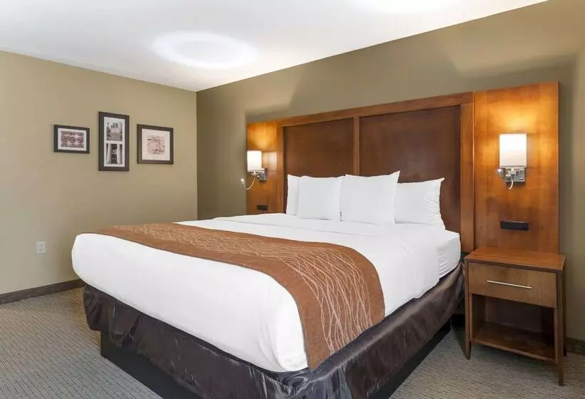 فندق Comfort Inn North Polaris