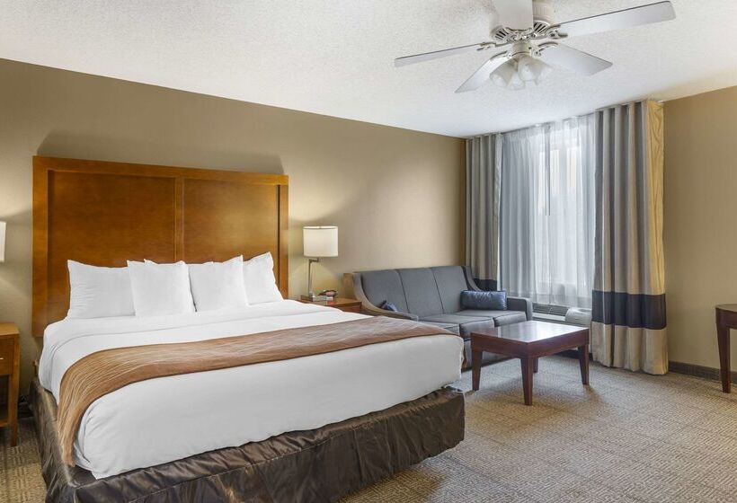 בית מלון כפרי Comfort Inn North Polaris