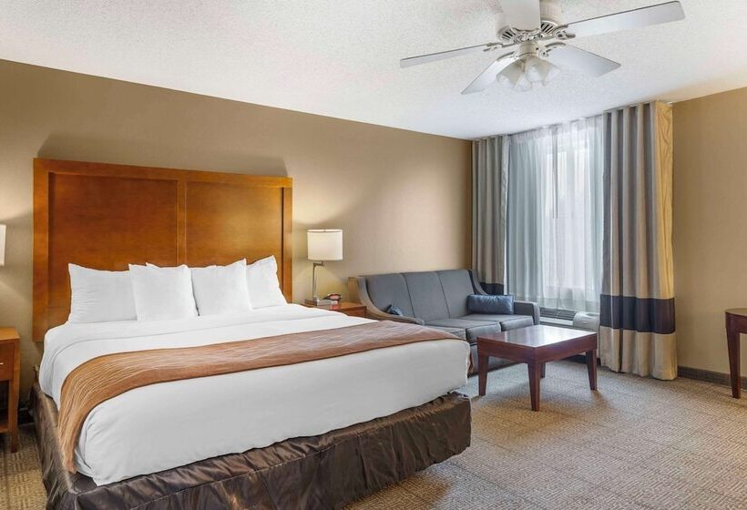 בית מלון כפרי Comfort Inn North Polaris