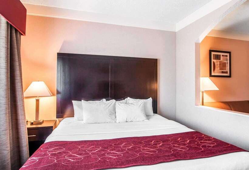 Отель Comfort Suites