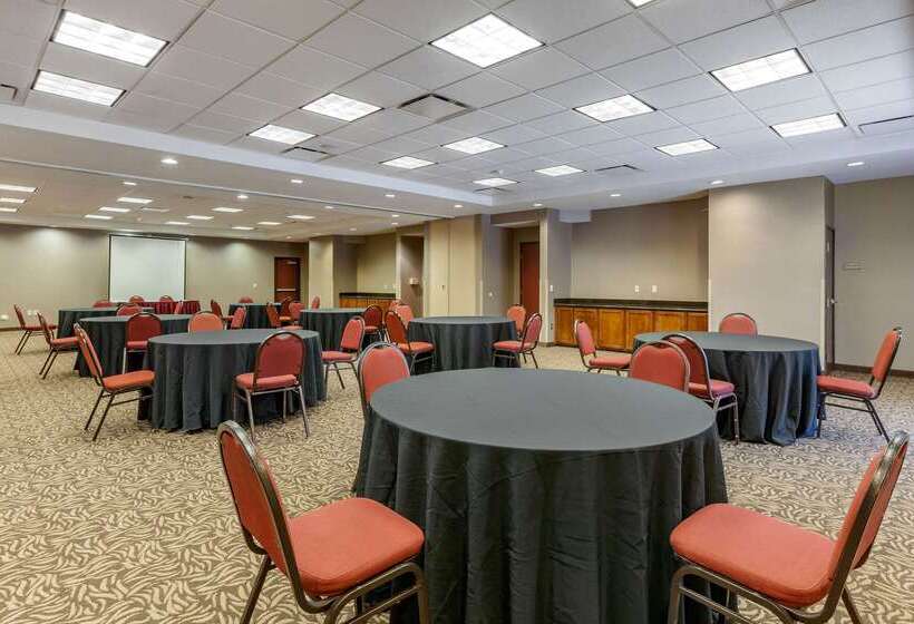 酒店 Comfort Suites Glendale   State Farm Stadium Area