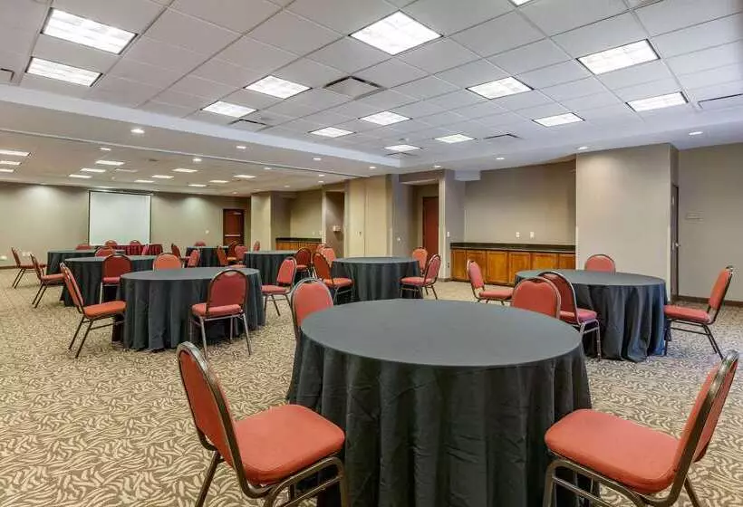 ホテル Comfort Suites Glendale   State Farm Stadium Area