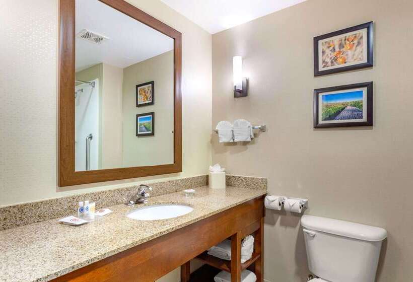 酒店 Comfort Suites Glendale   State Farm Stadium Area