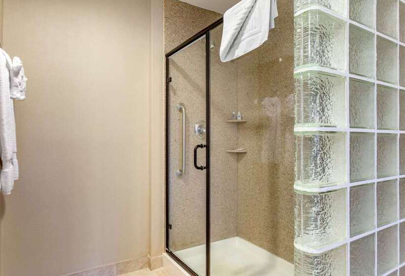 酒店 Comfort Suites Glendale   State Farm Stadium Area