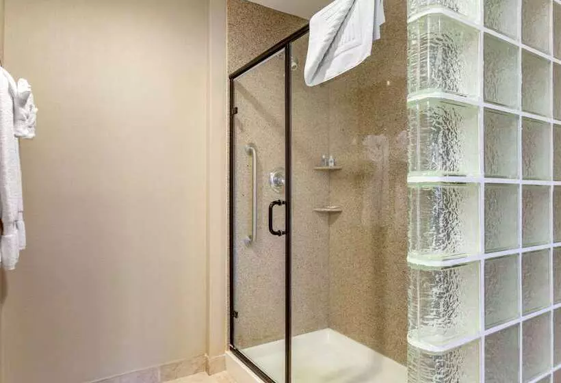 ホテル Comfort Suites Glendale   State Farm Stadium Area