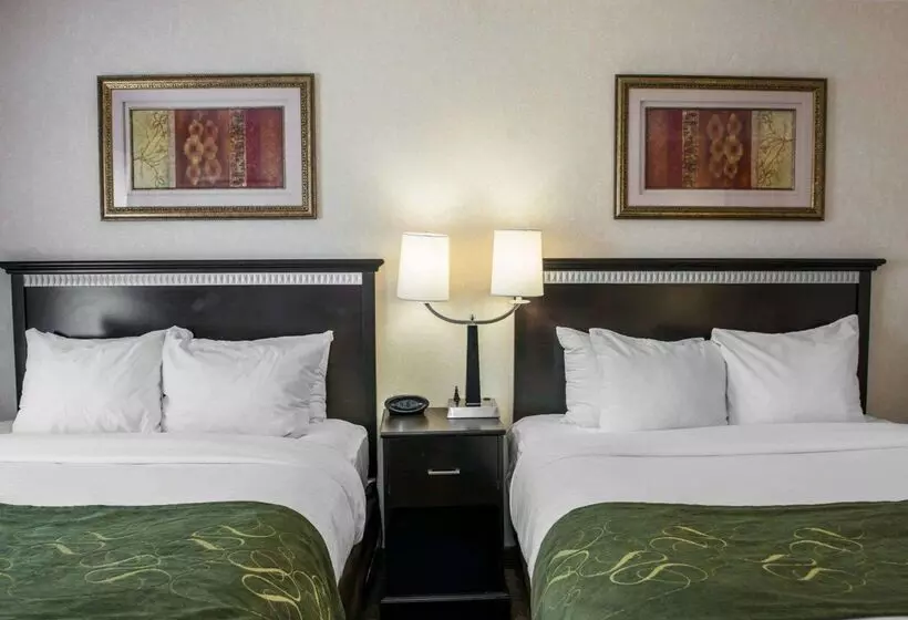 酒店 Comfort Suites Southport