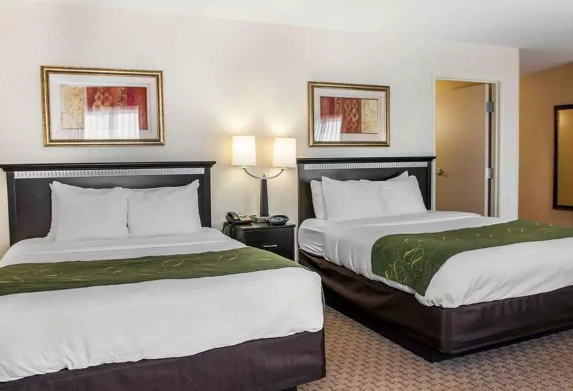 酒店 Comfort Suites Southport