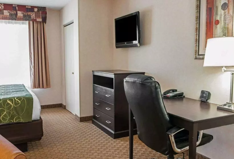 酒店 Comfort Suites Southport