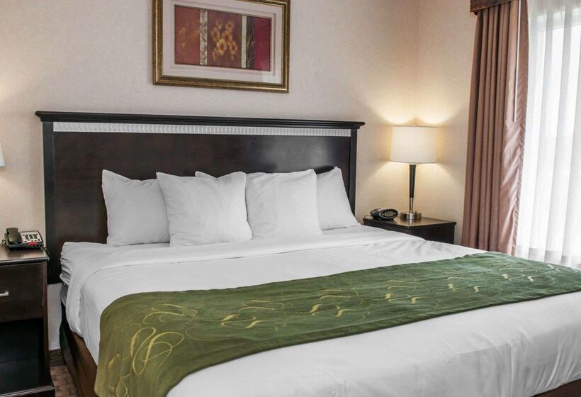 هتل Comfort Suites Southport