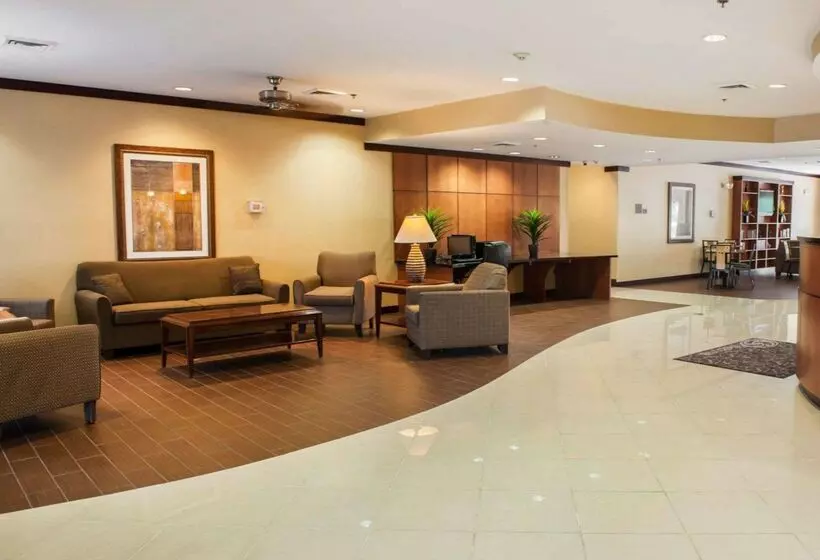 酒店 Comfort Suites Southport