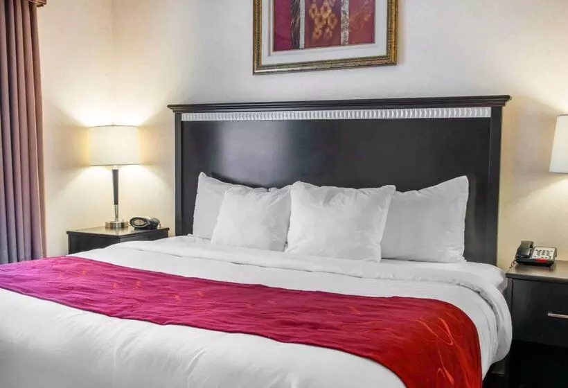 酒店 Comfort Suites Southport