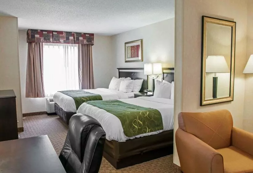 酒店 Comfort Suites Southport