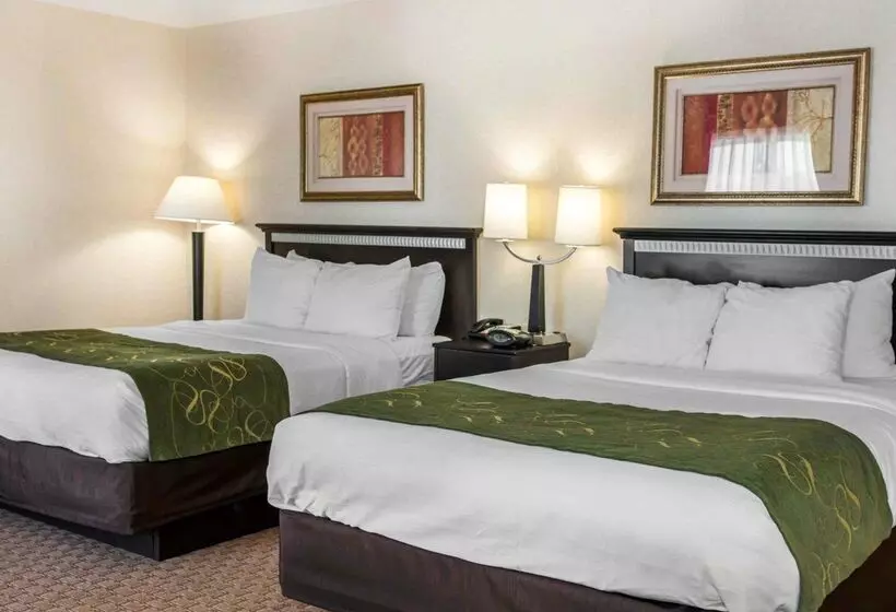 酒店 Comfort Suites Southport