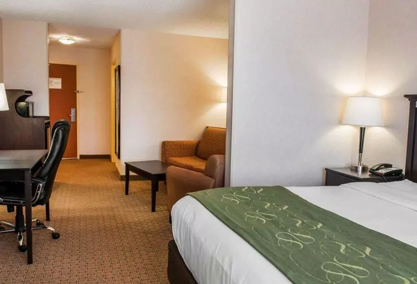 酒店 Comfort Suites Southport