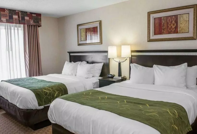 酒店 Comfort Suites Southport