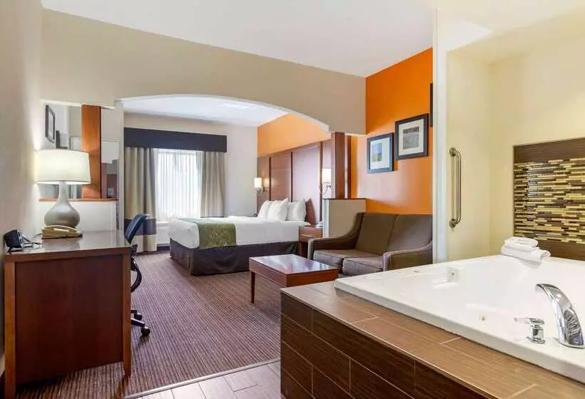 酒店 Comfort Suites Stevensville St. Joseph