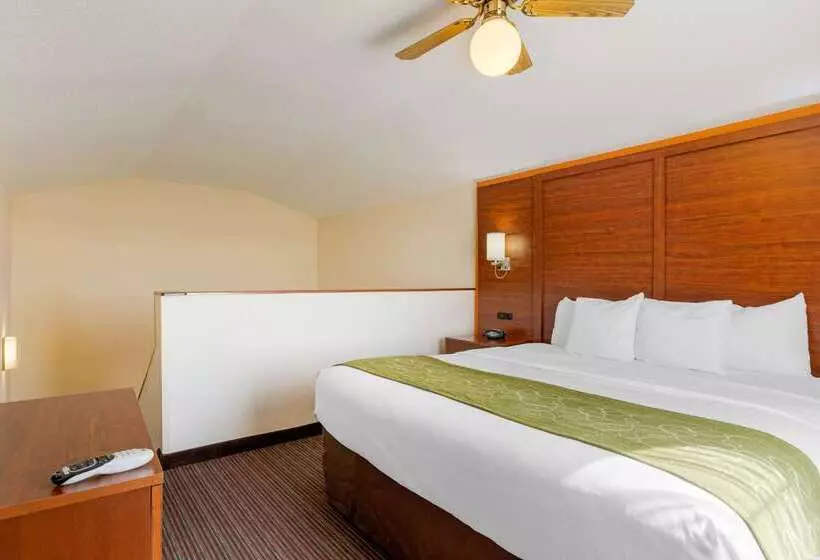 酒店 Comfort Suites Stevensville St. Joseph