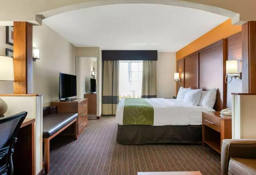 酒店 Comfort Suites Stevensville St. Joseph