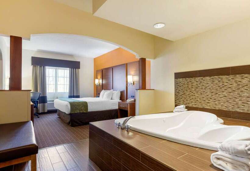 فندق Comfort Suites Stevensville  St. Joseph