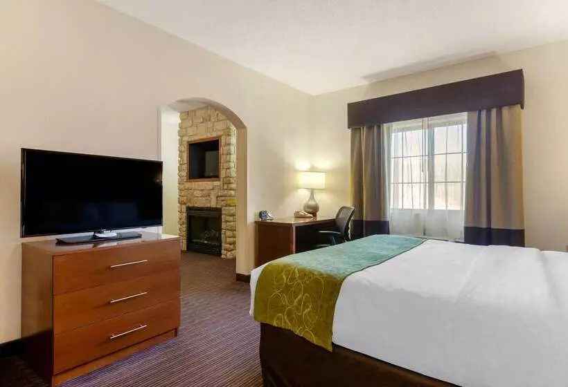 酒店 Comfort Suites Stevensville St. Joseph