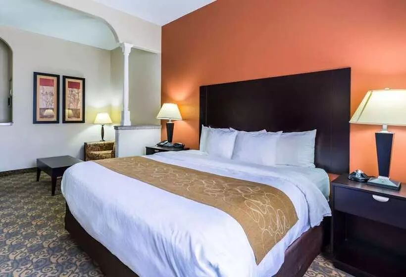 Hotel Comfort Suites Westchase Houston Energy Corridor