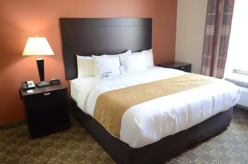 Hotel Comfort Suites Westchase Houston Energy Corridor