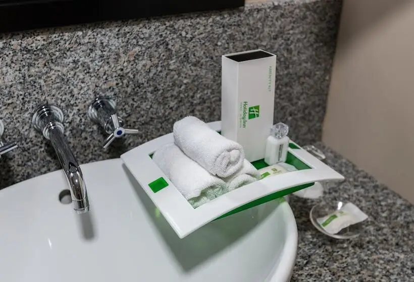 هتل Holiday Inn Dubai Al Barsha, An Ihg