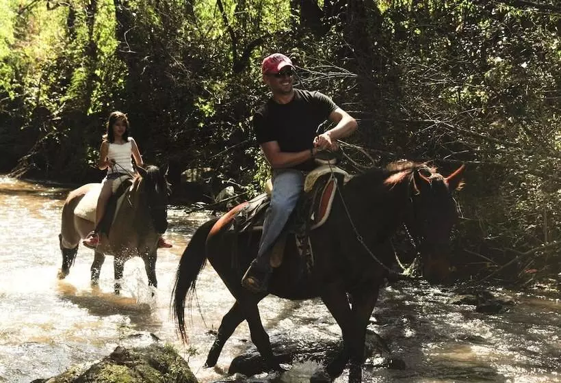 Hôtel Mesón De Leyendas Breakfast & Downtown