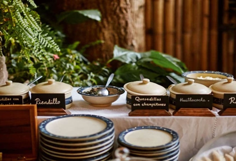 酒店 Mesón De Leyendas Breakfast & Downtown