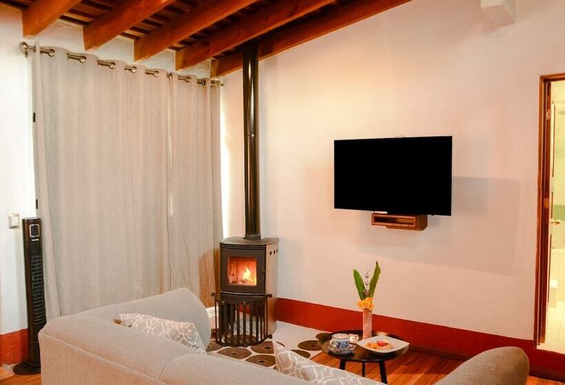 酒店 Mesón De Leyendas Breakfast & Downtown