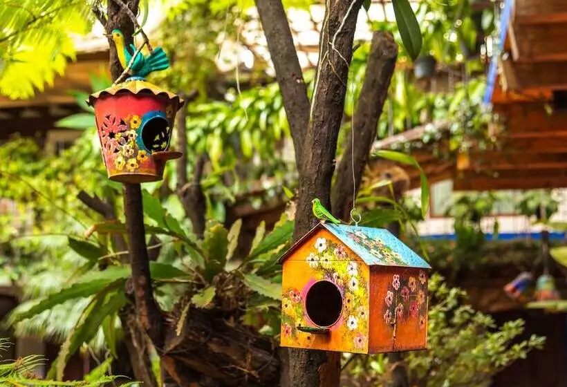 Hôtel Mesón De Leyendas Breakfast & Downtown