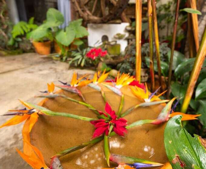 酒店 Mesón De Leyendas Breakfast & Downtown