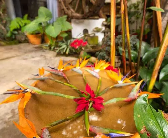 Hôtel Mesón De Leyendas Breakfast & Downtown