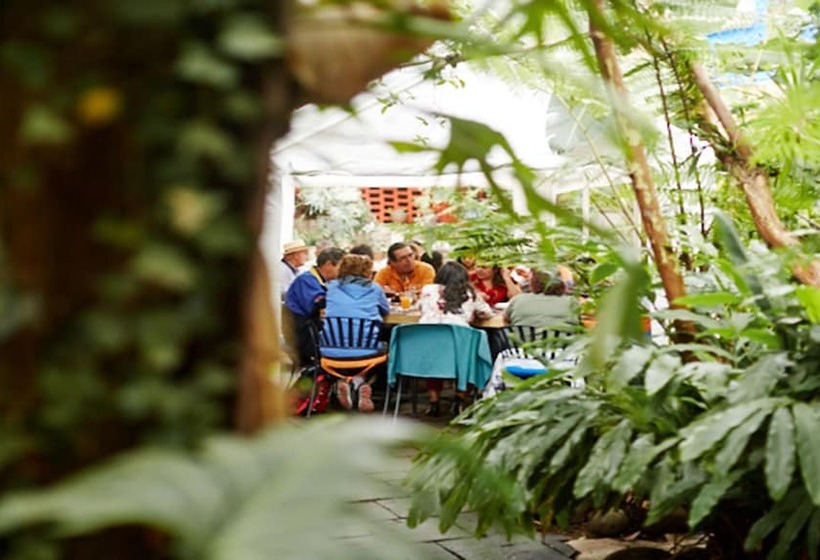 酒店 Mesón De Leyendas Breakfast & Downtown