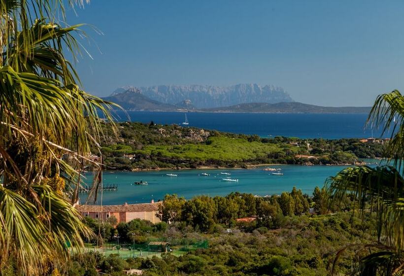 فندق Petra Bianca