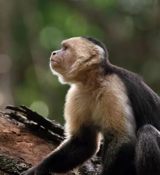 酒店 Santa Teresa By The Beach