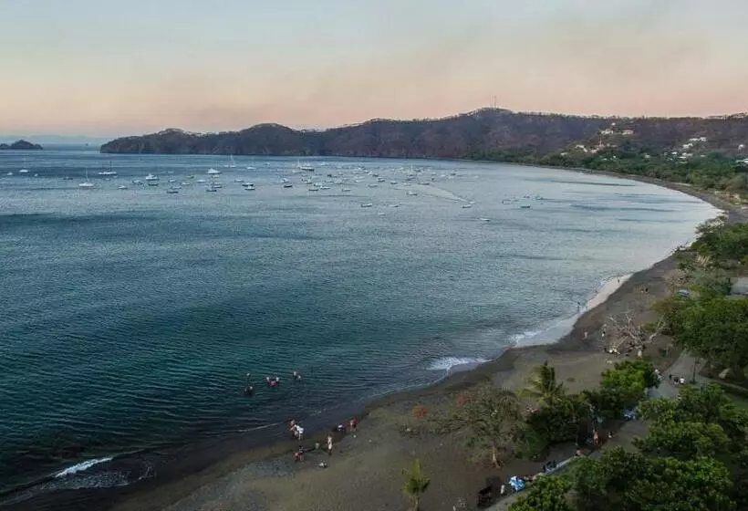 هتل Tropical Gardens Suites And Apartments