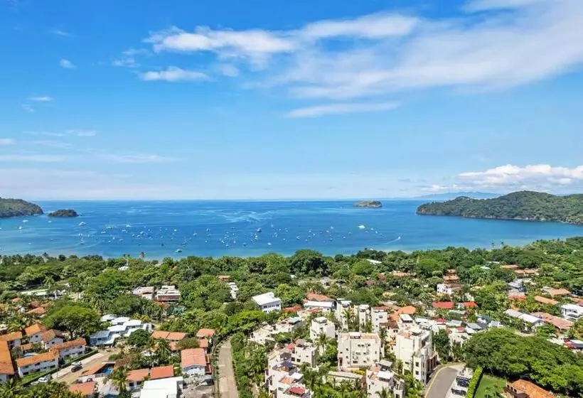 هتل Tropical Gardens Suites And Apartments