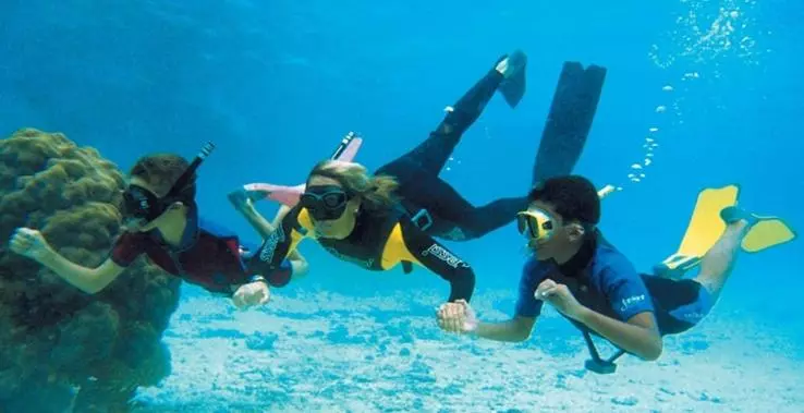 هتل Tropical Gardens Suites And Apartments