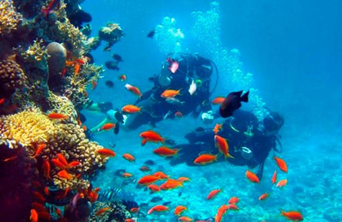 هتل Tropical Gardens Suites And Apartments