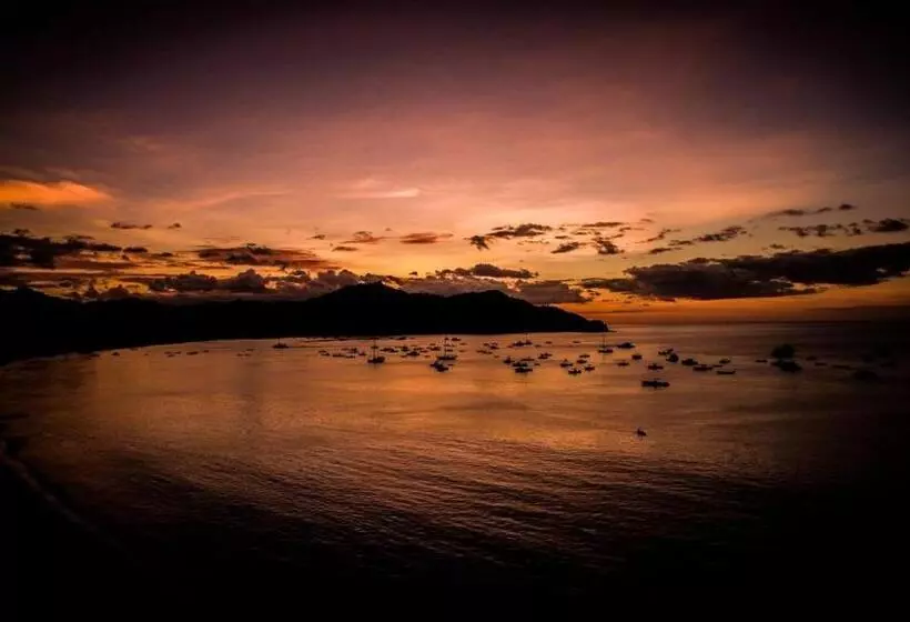 هتل Tropical Gardens Suites And Apartments