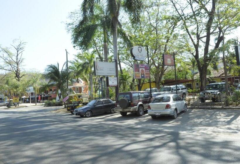 هتل Tropical Gardens Suites And Apartments