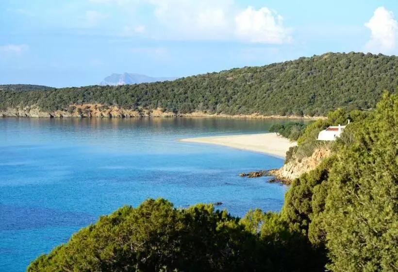 تختخواب و صبحانه Guest House Ajo  A Mulinu