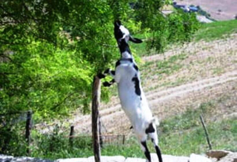 בית מלון כפרי Agriturismo La Botte