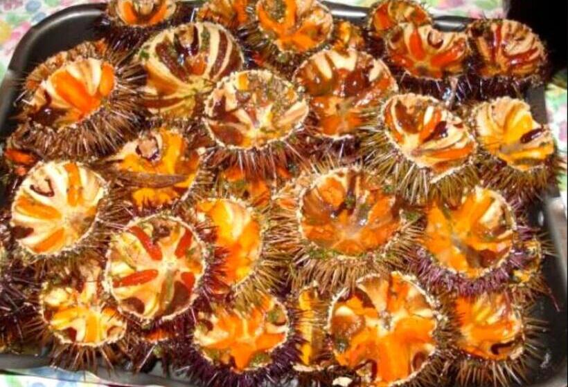 ペンション Casa La Giada