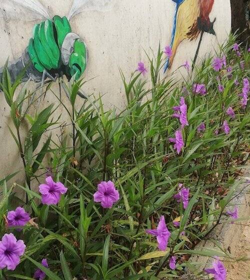 Resort Mango's Park Port Dickson
