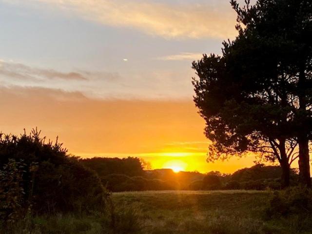 فندق صغير Ganton Greyhound Inn