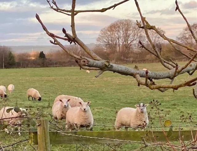 Retkeilymaja Ganton Greyhound Inn